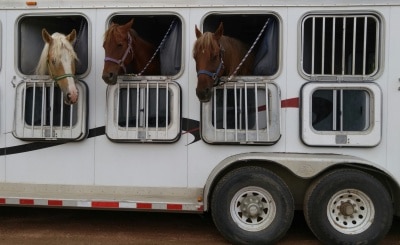 Insurance for Horse Trailers