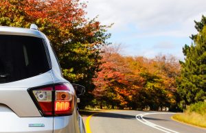 Does Car Rental Insurance Cover Scratches?